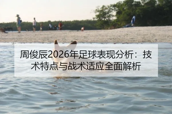 周俊辰2026年足球表现分析：技术特点与战术适应全面解析
